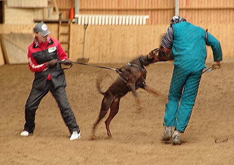 Training in Finland 6.4. - 9.4. 2007